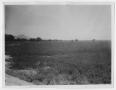 Photograph: [Person Standing in El Paso Valley]