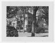 Primary view of [Carnegie Library Diagonal Left View With Trees]