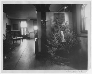 [Carnegie Library Christmas Tree Room]