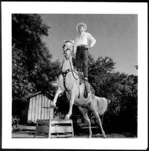[Outdoor photograph of a cowboy standing on the back of a trick horse]