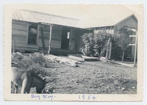 Primary view of object titled '[Photograph of Old Haker House and Dog]'.