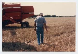 [Photograph of Max Daniel Cutting Grain on His Murphy Farm]