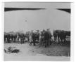 Photograph: [Grooming Horses During Maneuvers ]