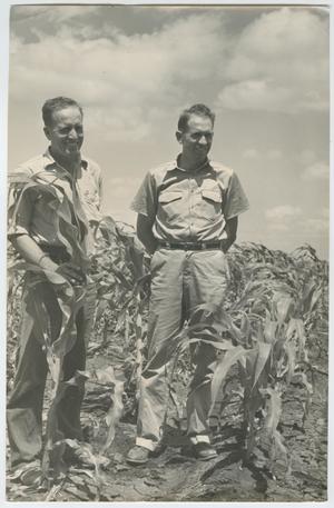[Photograph of Max and W. O. Daniel, Jr. In Cornfield]