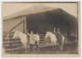 Photograph: [Two Men Standing by Horses]