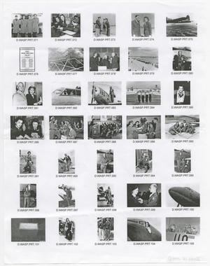 [Contact Sheet of WASP Images]