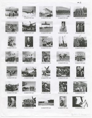 [Contact Sheet of WASP Images #2]