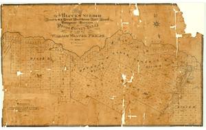 Map of Blocks Number 8, 9, and 10 Houston and Great Northern Railroad Company Surveys in Pecos County, Texas owned by William Walter Phelps