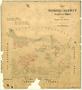 Thumbnail image of item number 1 in: 'Map of Wichita County'.