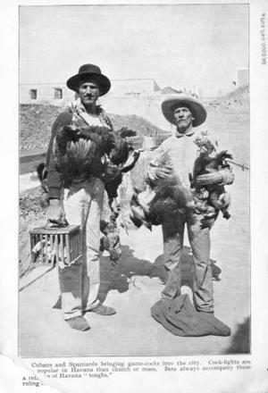 Primary view of object titled '[Two men carrying game birds]'.