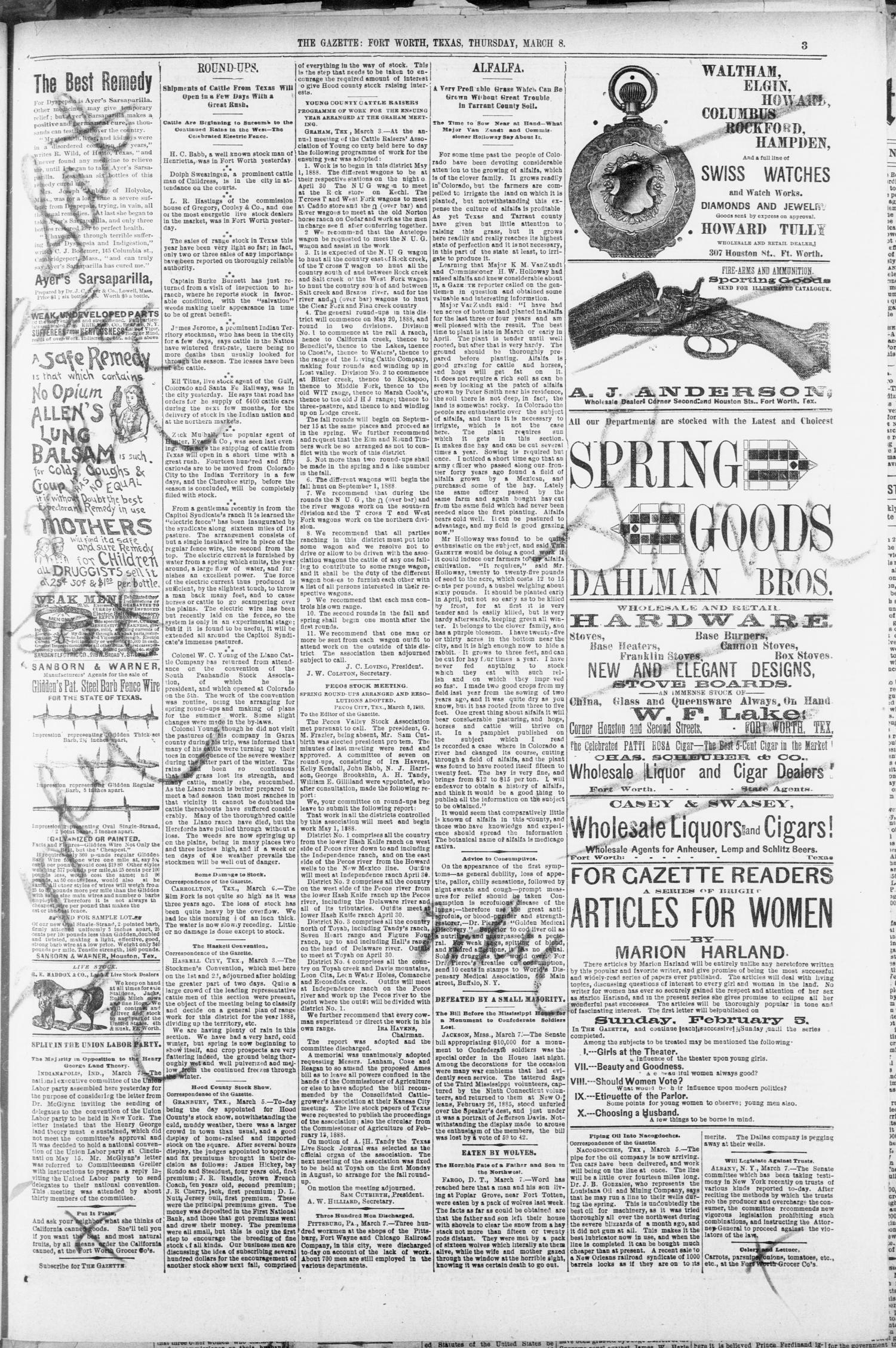 Fort Worth Daily Gazette. (Fort Worth, Tex.), Vol. 13, No. 219, Ed. 1, Thursday, March 8, 1888
                                                
                                                    [Sequence #]: 3 of 8
                                                