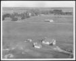 Thumbnail image of item number 1 in: '[Aerial photograph of a house and small buildings on the George Ranch site]'.