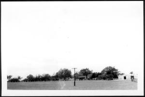 [A large field at George Ranch]