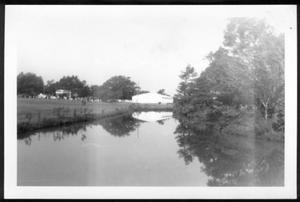 [Photograph of Dry Creek at George Ranch]