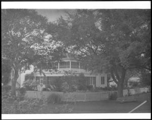 [Trees and shrubs around the George Ranch house and yard]