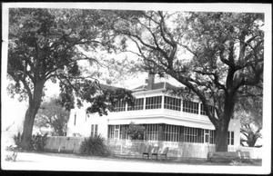 [Two large oak trees in front of the George Ranch house]