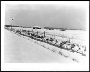 [A road and barbed wire fence near a snow covered pasture on the George Ranch]