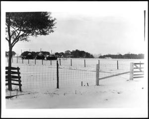 [Wire fences surrounding a snow covered pasture on the George Ranch]