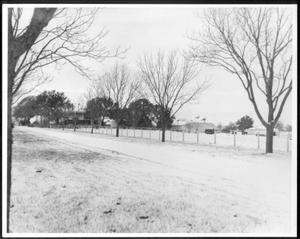 [Snow covering the road beside the George Ranch house and yard]