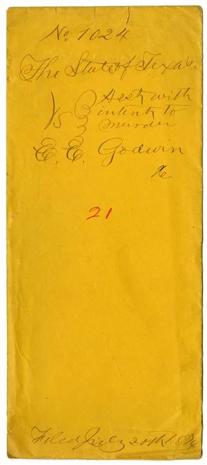 Documents pertaining to the case of The State of Texas vs. E. E. Godwin, cause no. 1024, 1874