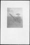 Thumbnail image of item number 1 in: '[A tractor pulling a combine in a field at the George Ranch]'.