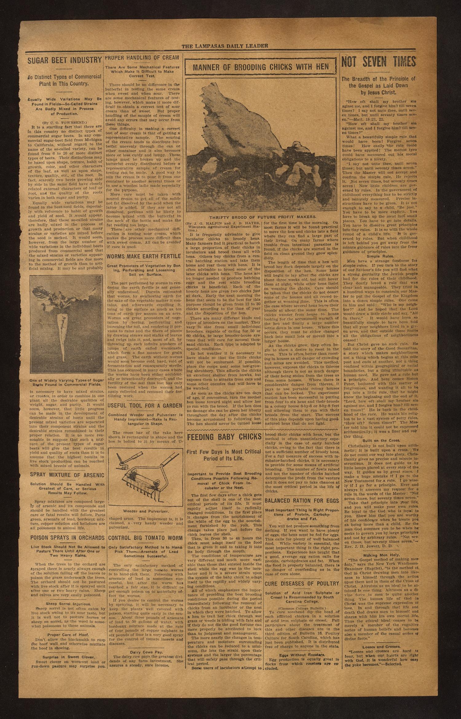 The Lampasas Daily Leader. (Lampasas, Tex.), Vol. 14, No. 127, Ed. 1 Friday, August 3, 1917
                                                
                                                    [Sequence #]: 3 of 4
                                                