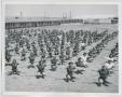 Photograph: [WASP Exercises]