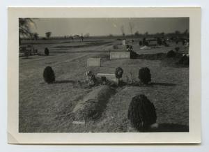 [Photograph of Katie Traweek's Grave]