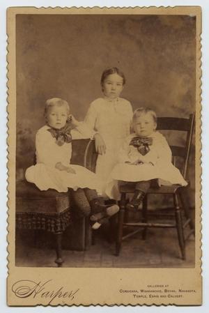 [Photograph of Clarence, Ethel, and Steve Freeman]