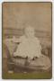 Thumbnail image of item number 1 in: '[Photograph of Young Child on a Seat]'.