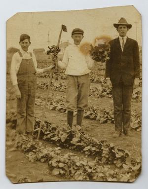 Primary view of object titled '[Photograph Two Boys and a Man on a Farm]'.