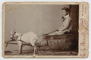 Primary view of object titled '[Portrait of a Boy in a Goat-Drawn Wagon]'.