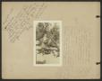 Thumbnail image of item number 4 in: '[Photograph Album of Texas Woman's College]'.