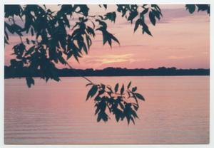 [Lake at Sunset #5]