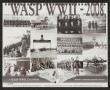Text: [Calendar: WASP WWII - 2008]