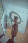 Primary view of [Cat Near Dryer]
