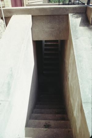 [Palestine Carnegie Library Building, (steps leading to basement)]