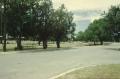 Thumbnail image of item number 1 in: '[Cordell Park]'.