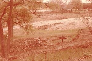 [Thomas Jones Mill Site, (view to north w Salado Creek in bkgd)]