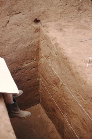 Primary view of object titled '[Davis Arch. Site, (Mound C)]'.