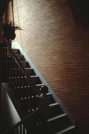 [Davis House, (Stairs to basement, original paint below newel post)]