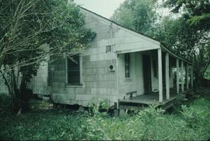Primary view of object titled '[Annie Mae Green House]'.