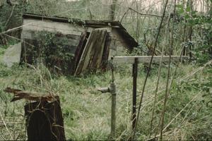 [Annie Mae Green House, (pump handle for well and partially collapsed shed, Hwy 59 in background)]