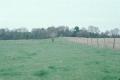 Thumbnail image of item number 1 in: '[A. C. Saunders, (View N at mound 1(ash) west; N-S fence line going over mound)]'.