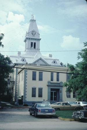 Primary view of object titled '[Newton County Courthouse]'.