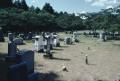 Thumbnail image of item number 1 in: '[Concord Cemetary]'.