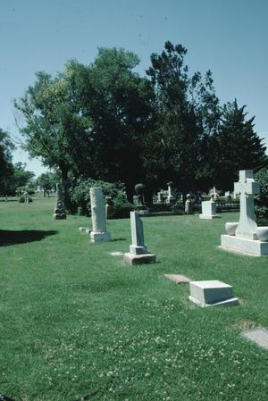 Primary view of object titled '[Llano Cemetery, (Fuqua Family Plot, cast iron fence & sculpture)]'.
