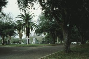 [Rose Hill Cemetary, (landscape)]