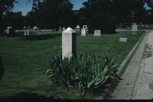 [Llano Cemetery, (obelisk monument w/ iris)]