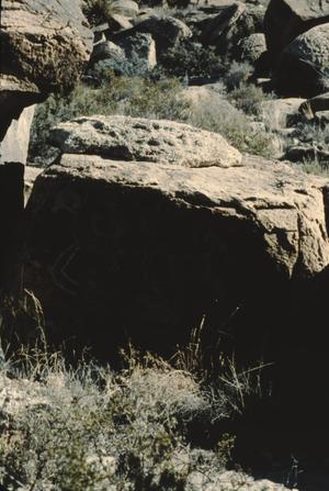 [Alamo Canyon-Site 4, (Mimbres-style goats)]